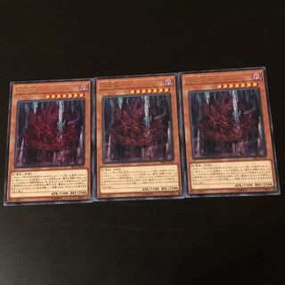 天威龍 ヴィシュダ R 3枚