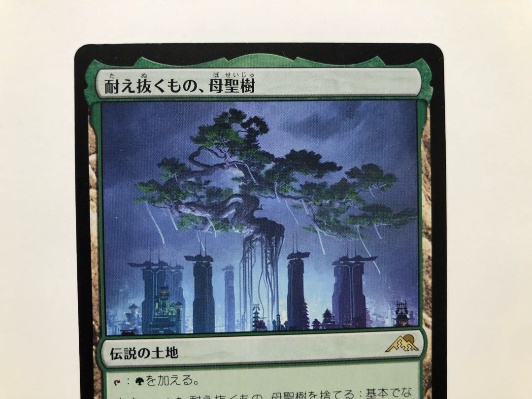 What endures, Mother Sacred Tree