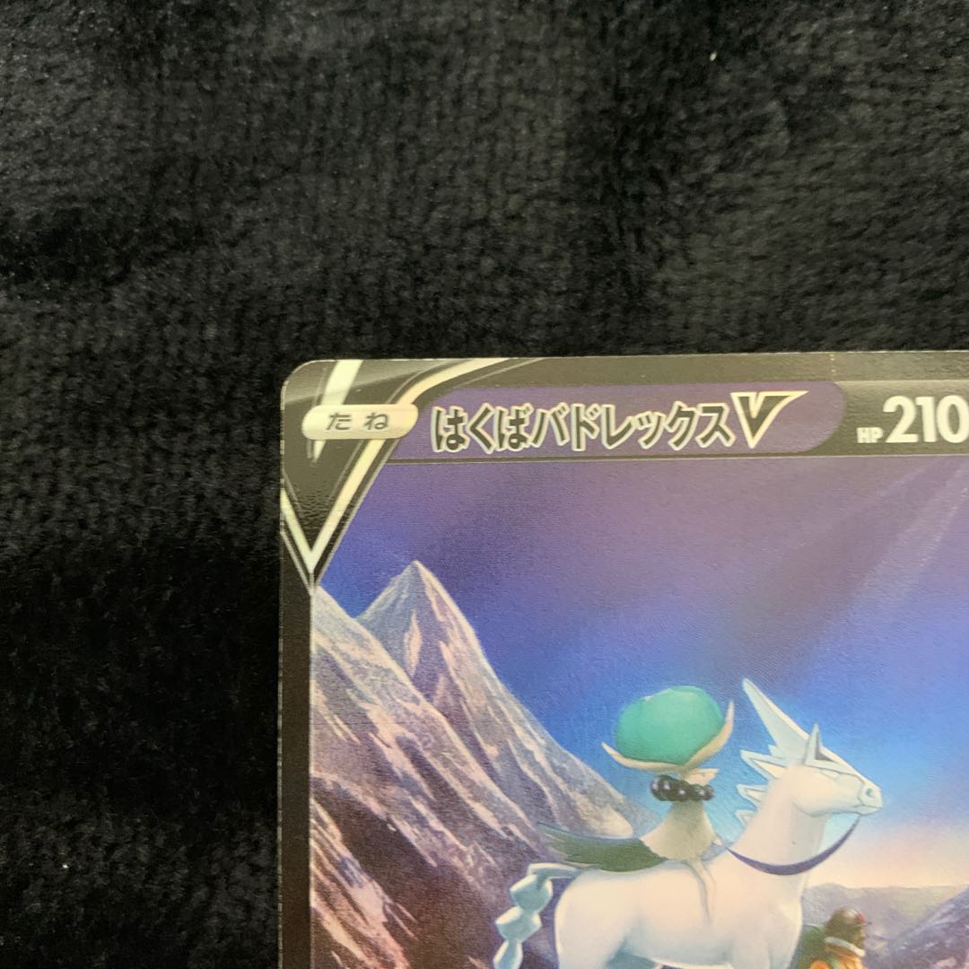 Hakuba Budrex V CSR 220/184