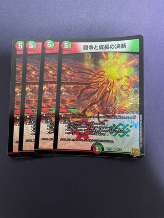 Fighting Conflict and Growth Decision VR 8/76