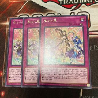 恵みの風 レア JP074 3枚　特価品