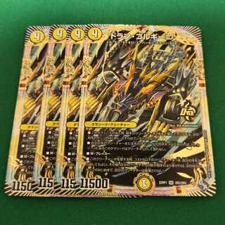 Dolan Gorgini OR OR2/OR2