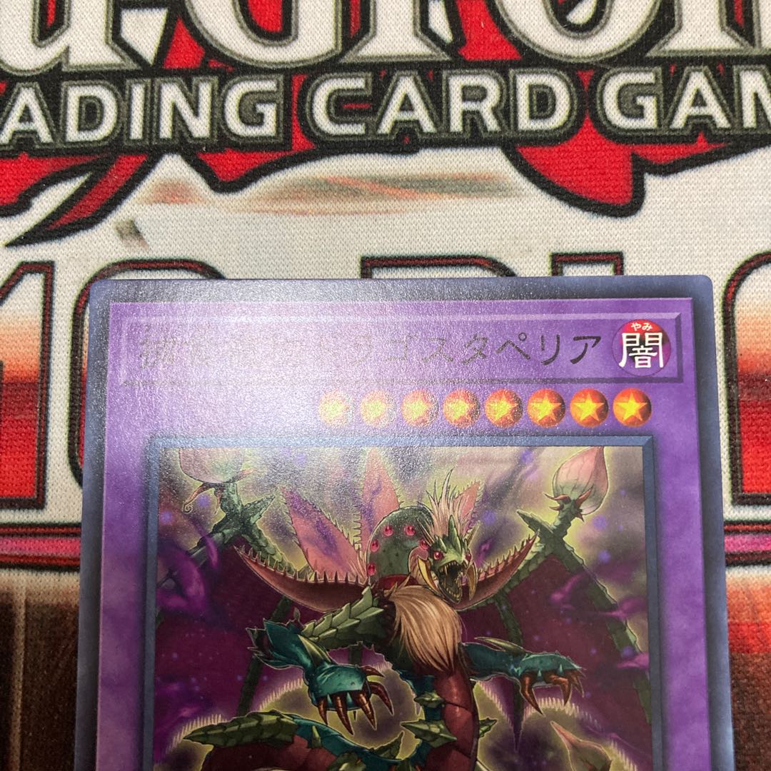 Predaplant Dragostapelia Normal JP053 1 Special Price