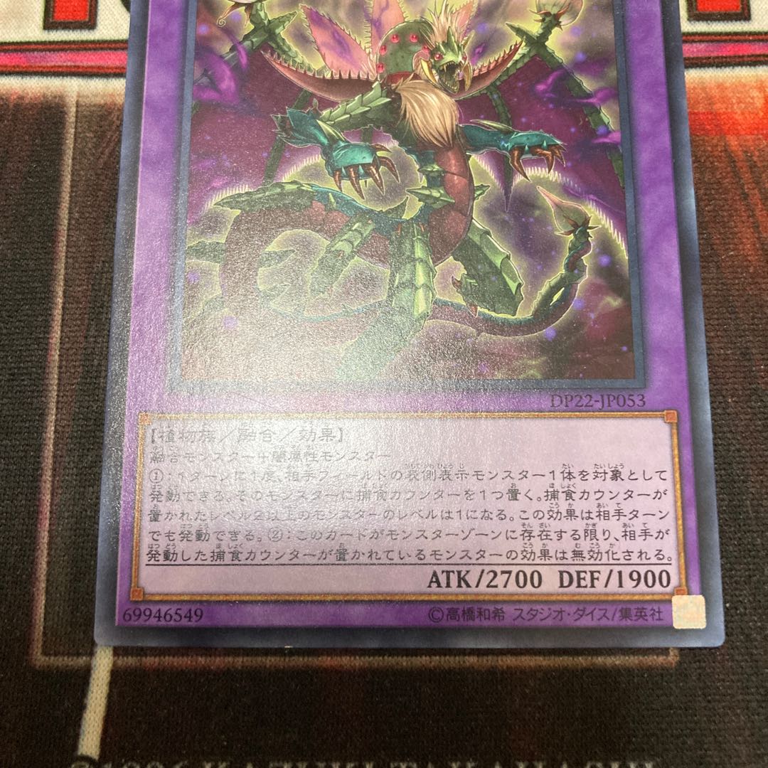 Predaplant Dragostapelia Normal JP053 1 Special Price