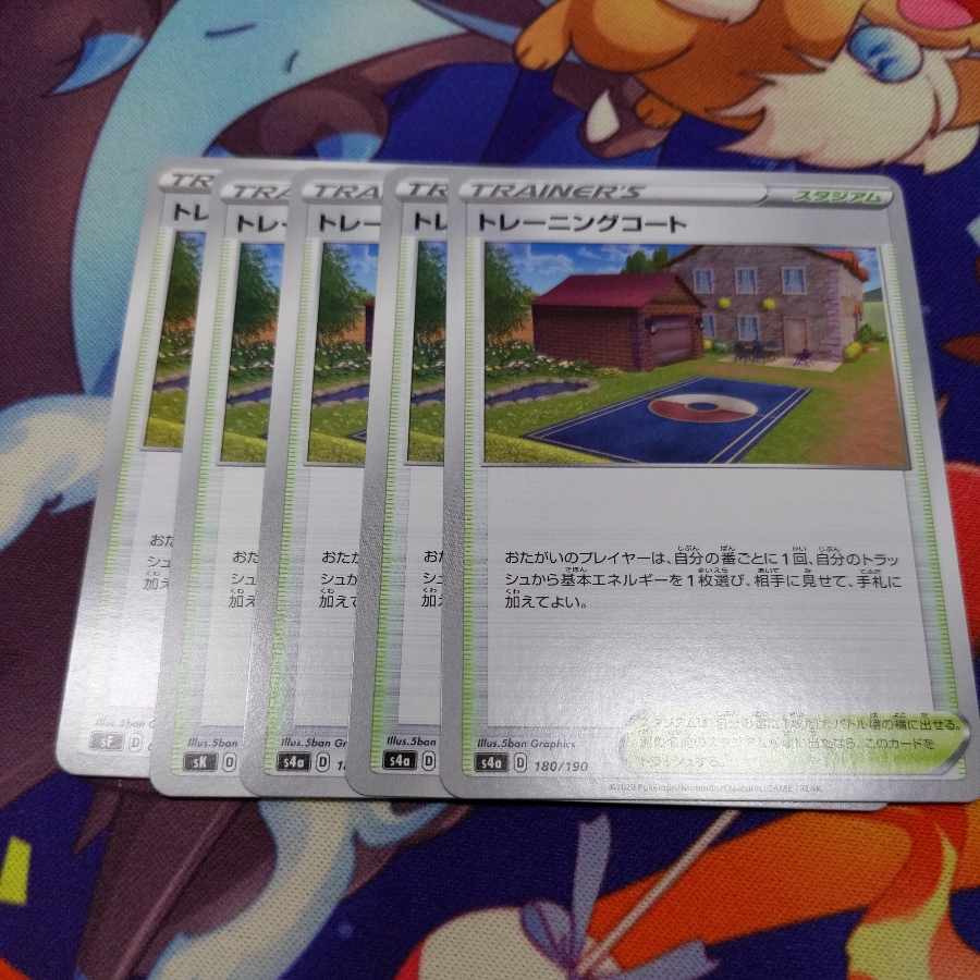 5 sheets Training Court 180/190