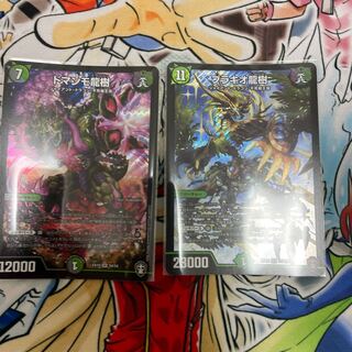 Ryuki Brachio SR S5/S11