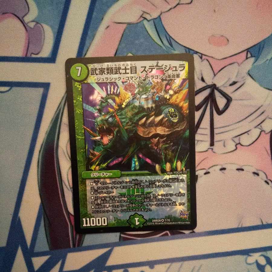 武家類武士目 ステージュラ