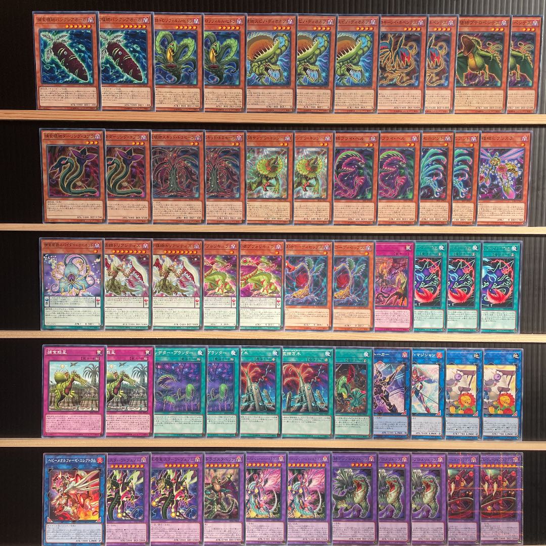 Yu-Gi-Oh Prey Upon Plant Deck Rosaan 40 Ex Dragostapelia