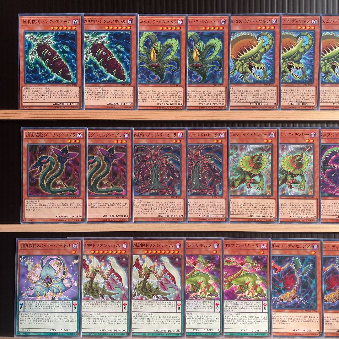 Yu-Gi-Oh Prey Upon Plant Deck Rosaan 40 Ex Dragostapelia