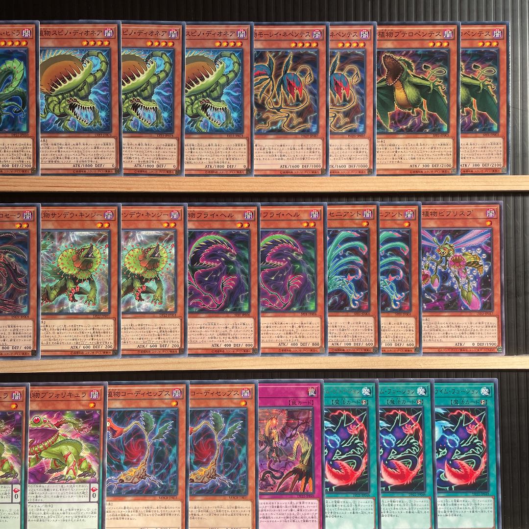 Yu-Gi-Oh Prey Upon Plant Deck Rosaan 40 Ex Dragostapelia