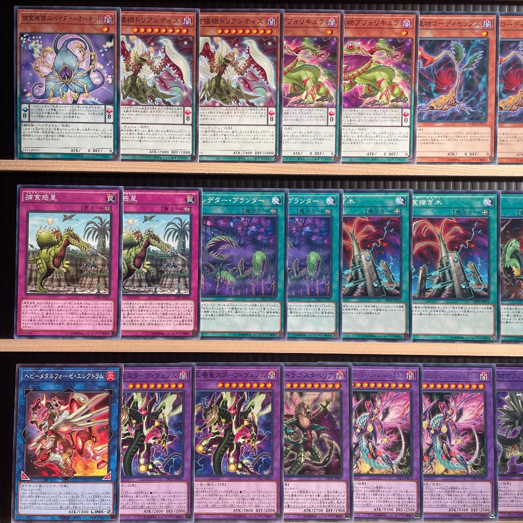 Yu-Gi-Oh Prey Upon Plant Deck Rosaan 40 Ex Dragostapelia