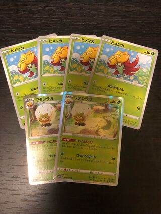 ヒメンカ＆ワタシラガ　セット