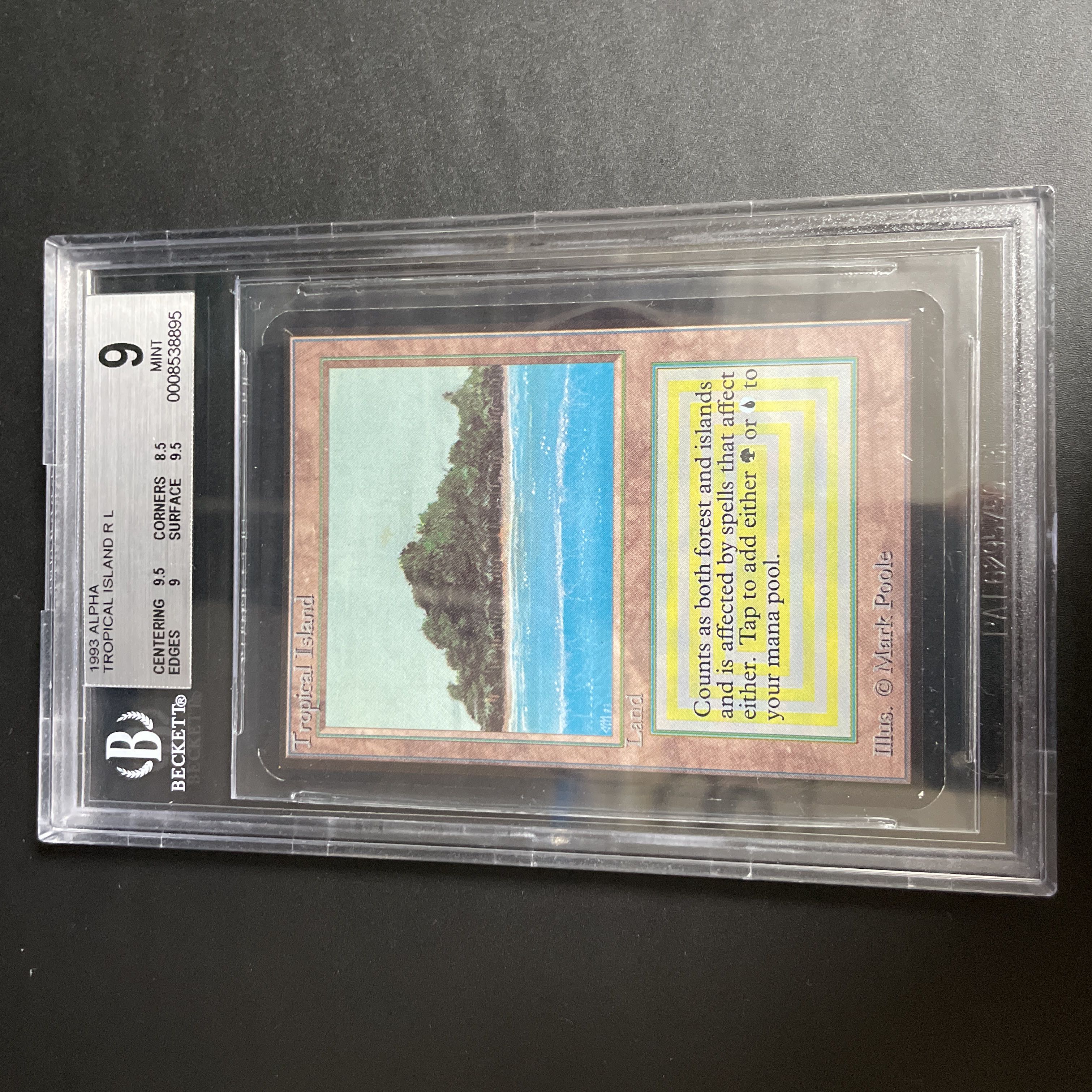 Tropical Island LEA BGS9