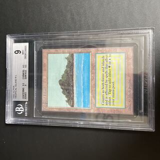 Tropical Island LEA BGS9
