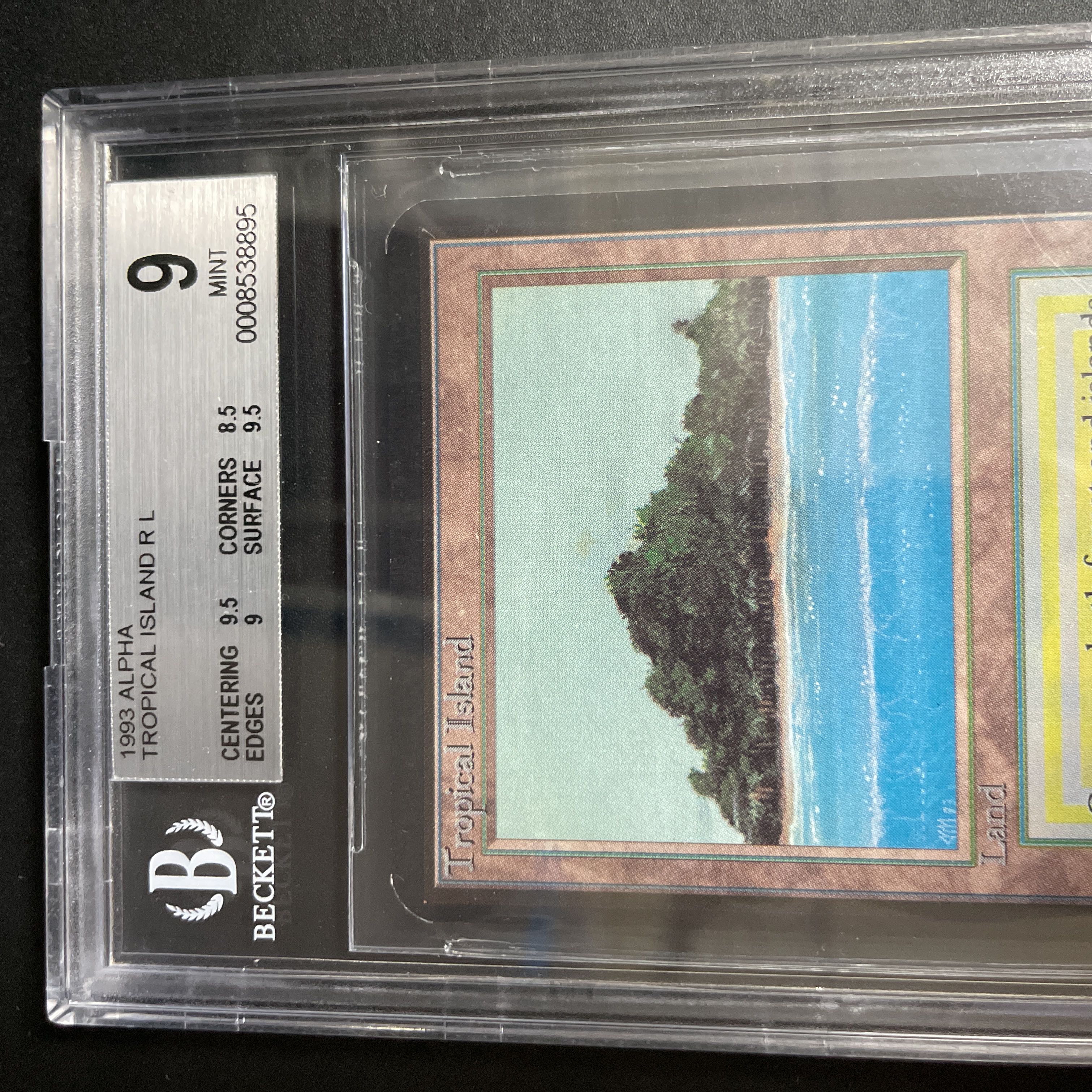 Tropical Island LEA BGS9