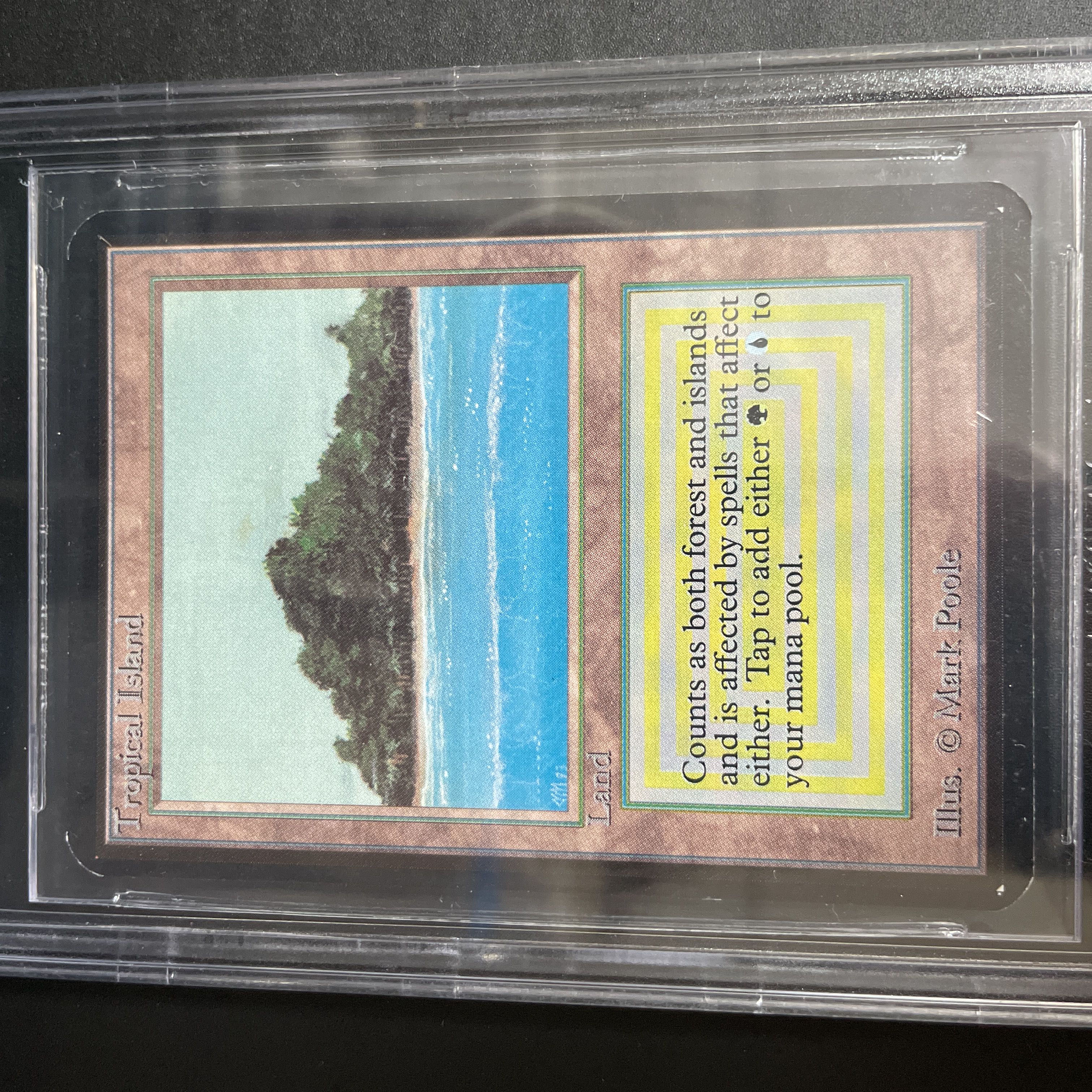 Tropical Island LEA BGS9