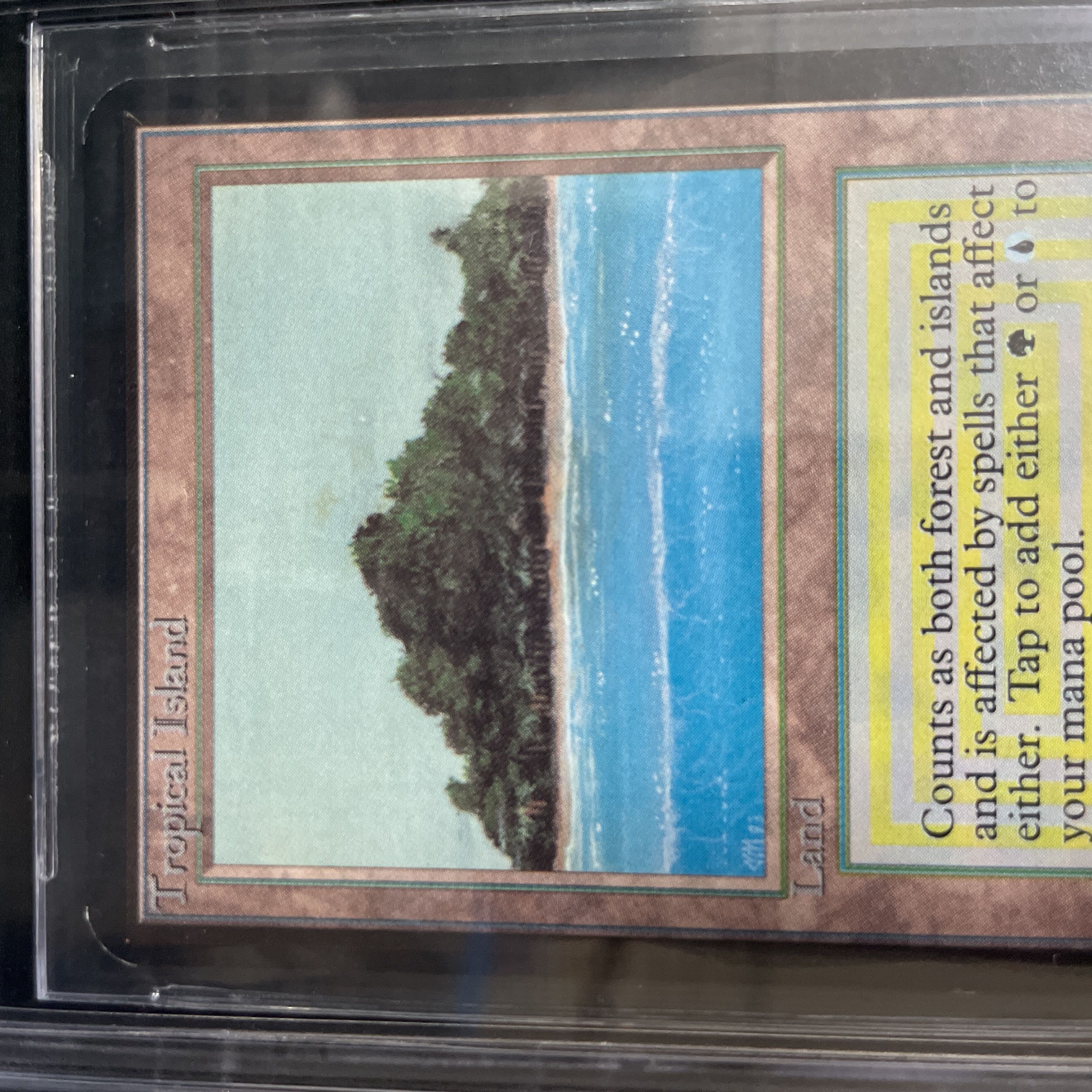 Tropical Island LEA BGS9