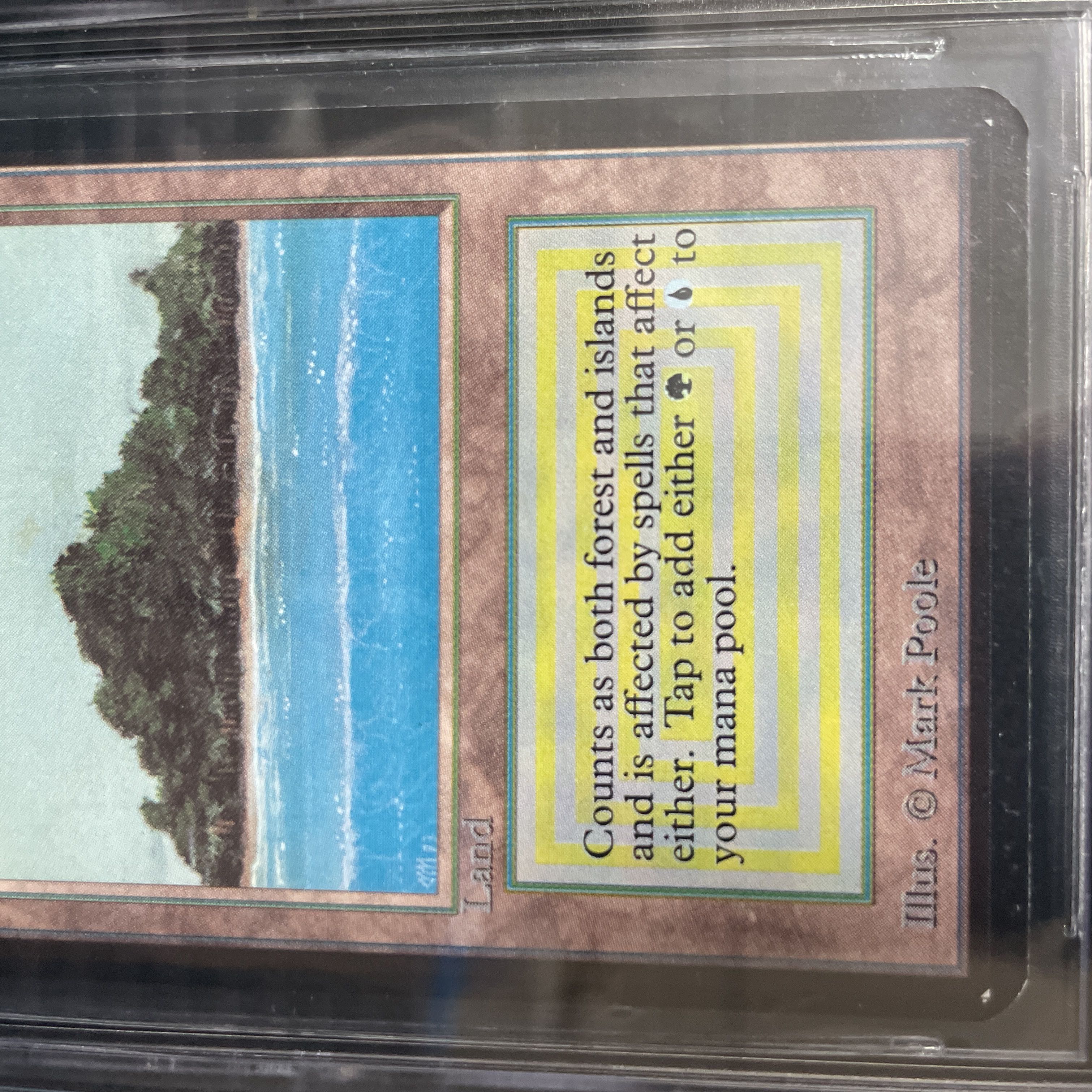 Tropical Island LEA BGS9