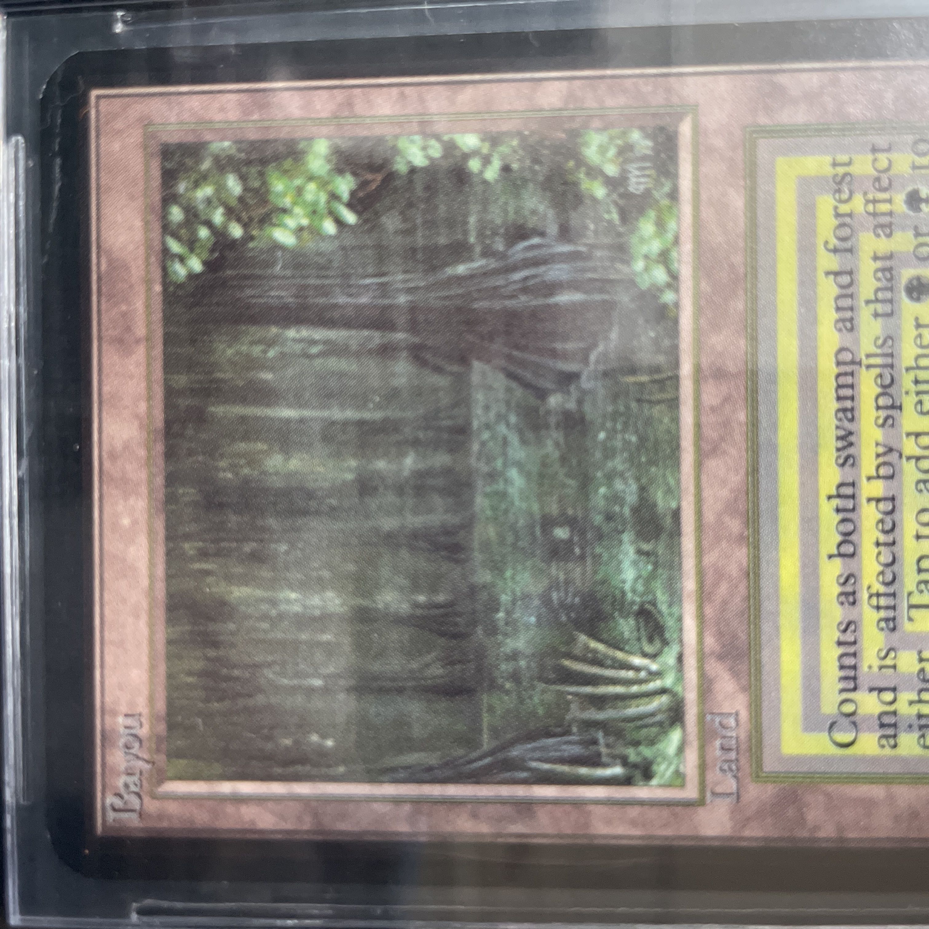 Bayou LEA BGS9