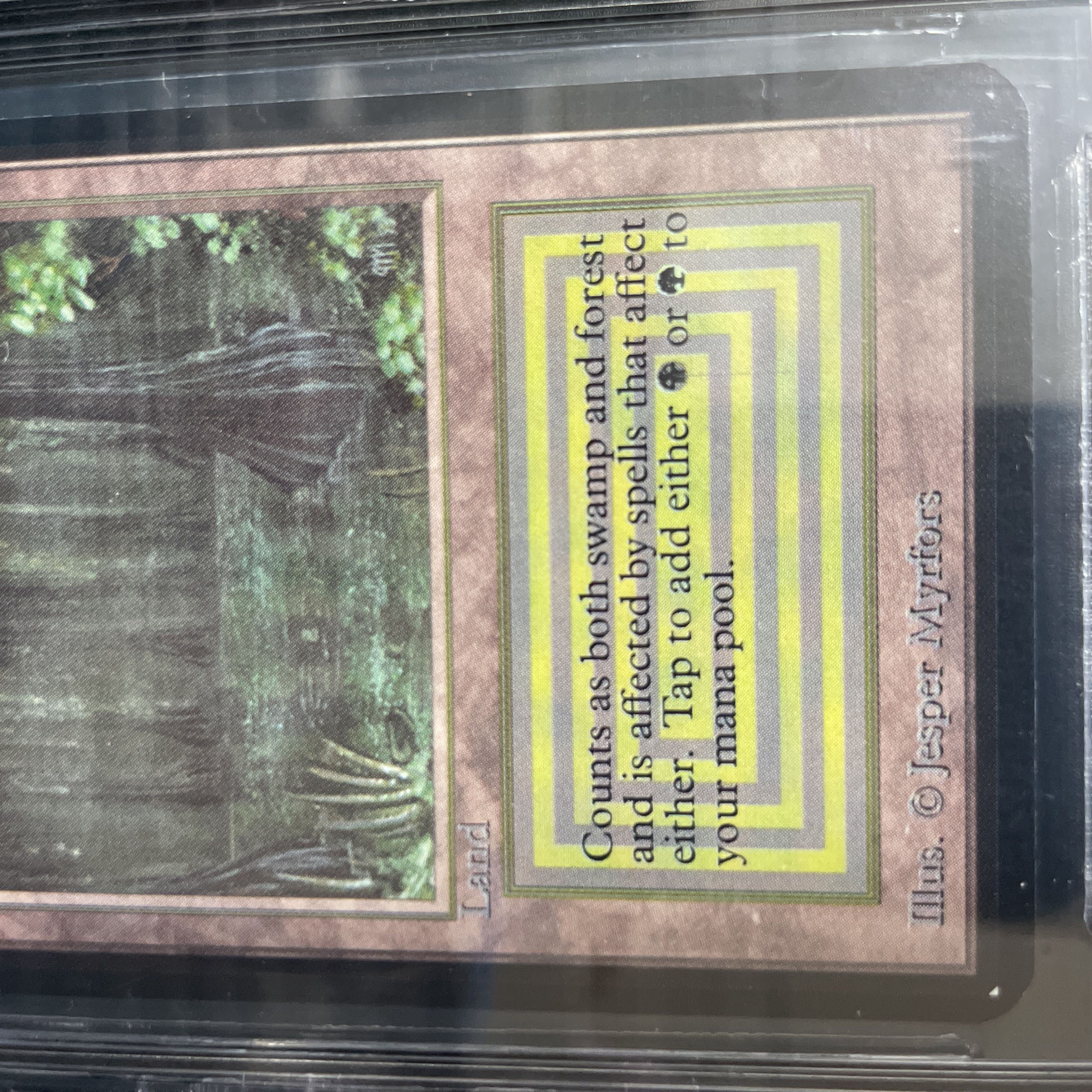 Bayou LEA BGS9