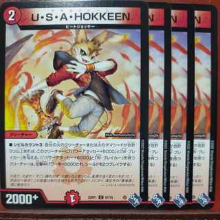 goa set discount U・S・A・HOKKEEN C 67/74