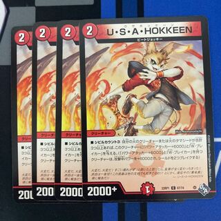 U.S.A. HOKKEEN C 67/74