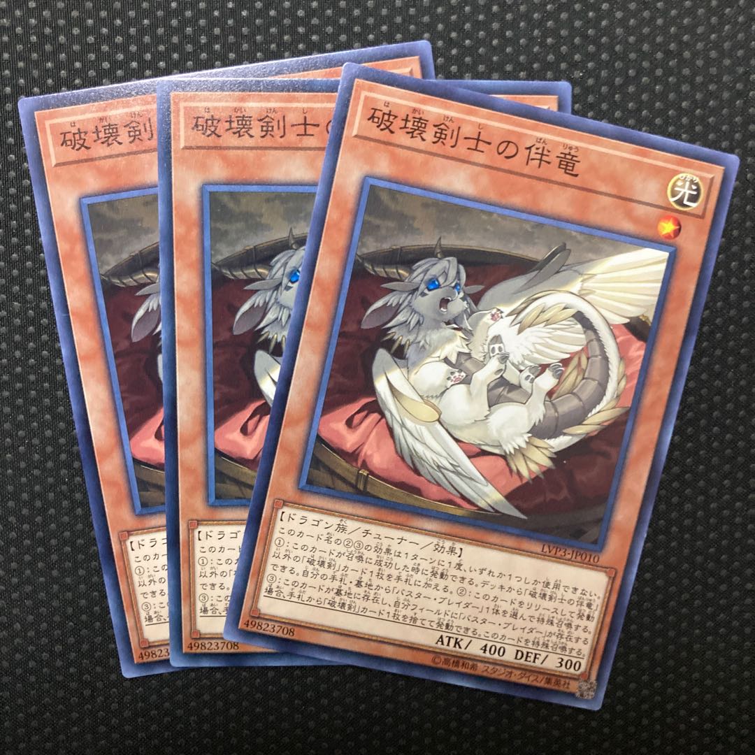 破壊剣士の伴竜