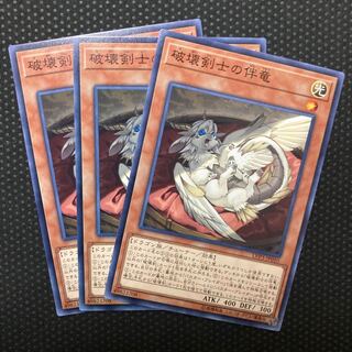 Buster Whelp of the Destruction Swordsman