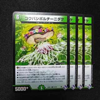 Koubashi Porcini Bamboo R 23/74