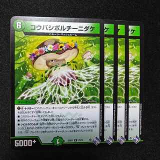 Koubashi Porcini Bamboo R 23/74