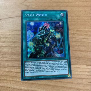 Small World Umi Outside Edition Sikh Sikh Secret