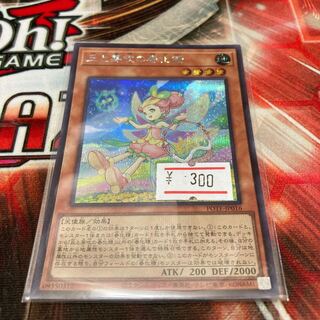 丘と芽吹の春化精 シークレットレア JP016 1枚