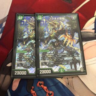 Ryuki Brachio SR S5/S11