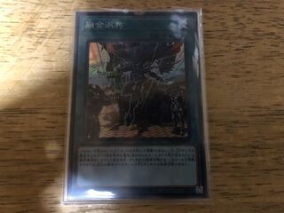 ブリブリ左衛門様専用 特別価格 融合派兵