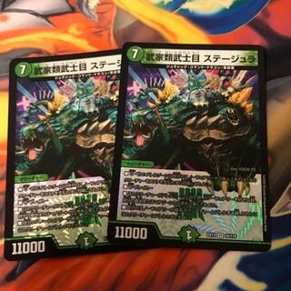 武家類武士目 ステージュラ VR 14/110