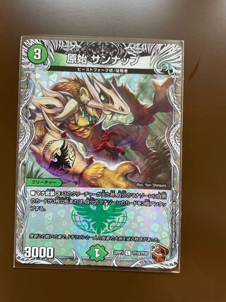 原始 サンナップ(銅トレジャー) C-foil TF19/TF20