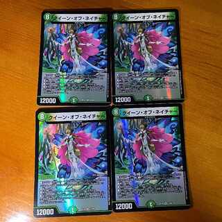 クイーン・オブ・ネイチャー VR 13/68