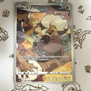 341 イワンコ CHR