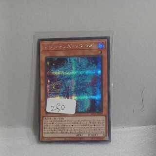 Magicians' Souls Secret Rare JP009