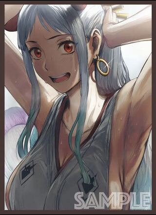 ヤマト カードスリーブ ONEPIECE ロマンスドーン