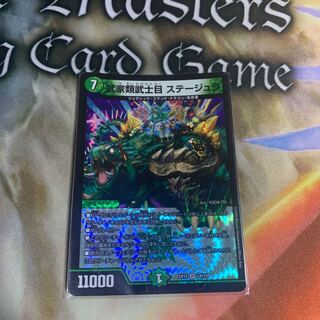 Samurai family Samurai order Stejura