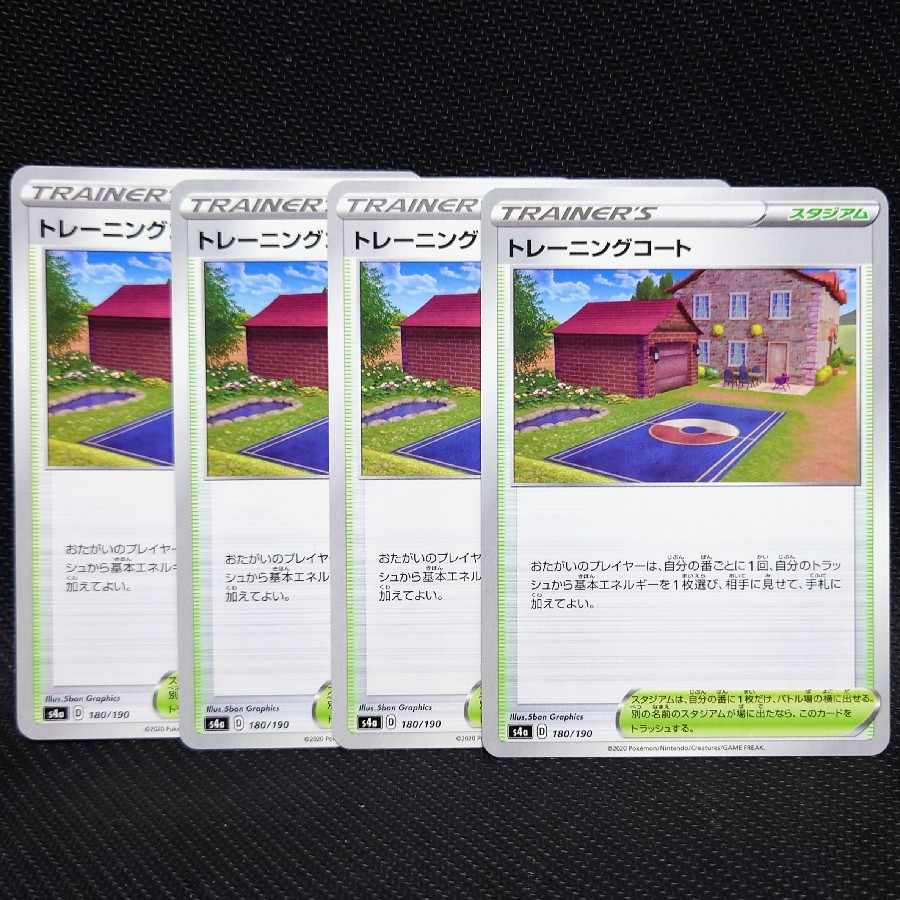 Training Court 180/190