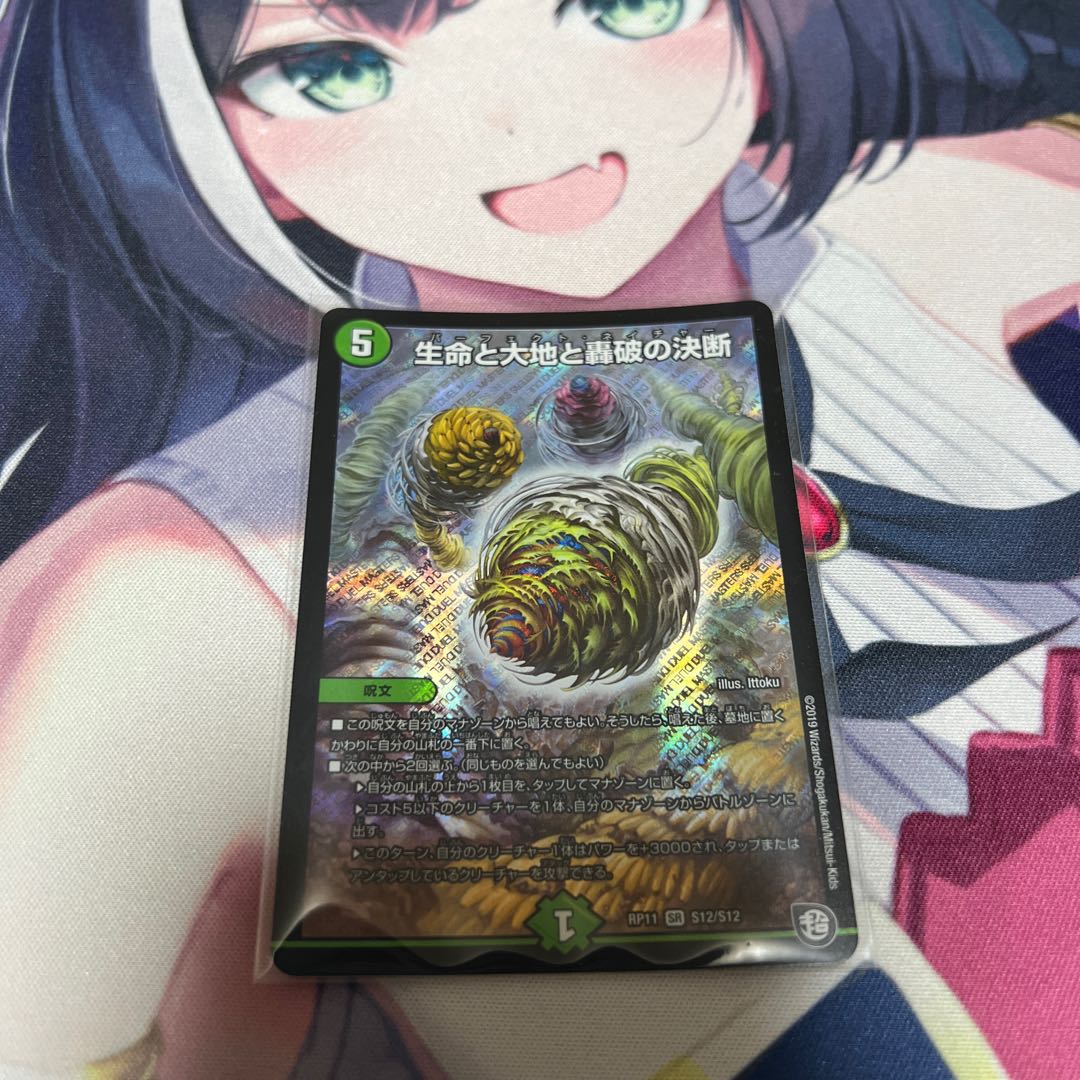 Life Life, Earth and Roaring Decision SR S12/S12