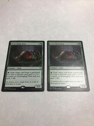 Scavenging Ooze Rare 318/274 English 2-card set