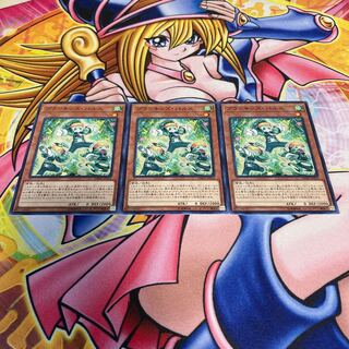 Prank-Kids Fansies Normal JP014