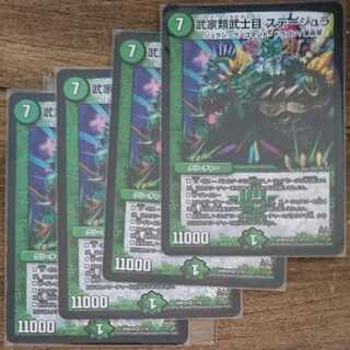 武家類武士目 ステージュラ