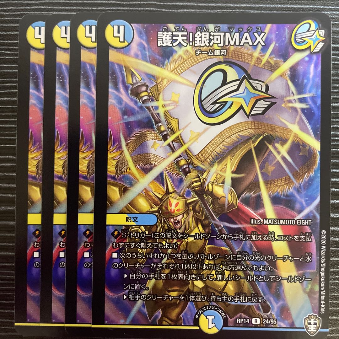 Proten! Ginga MAX R 24/95