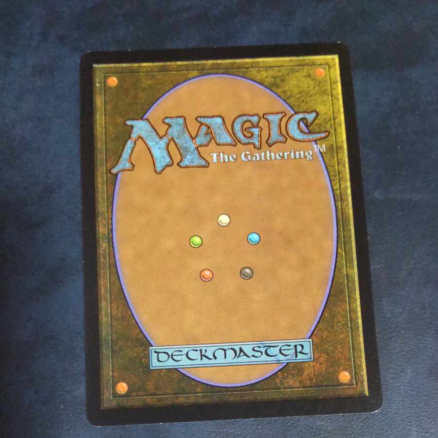 Sigarda's Aid Puresteel Paladin Set