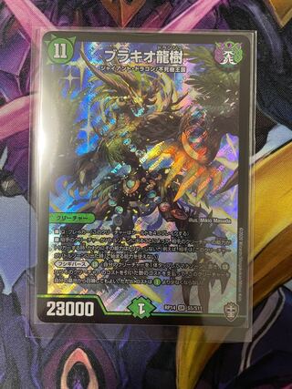 Ryuki Brachio SR S5/S11