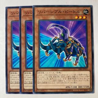 6715 リバーシブル・ビートル ノーマル JP035